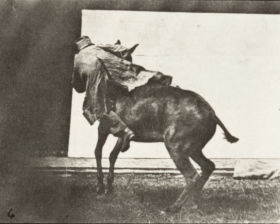 Plate 661 'Ruth', refractory — figure reference